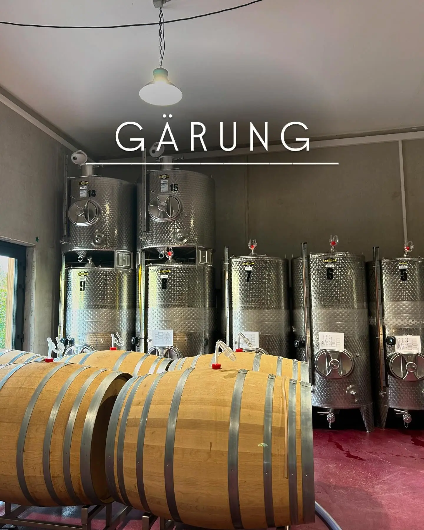 Gärungsprozess 4 Weinkühlmanschette