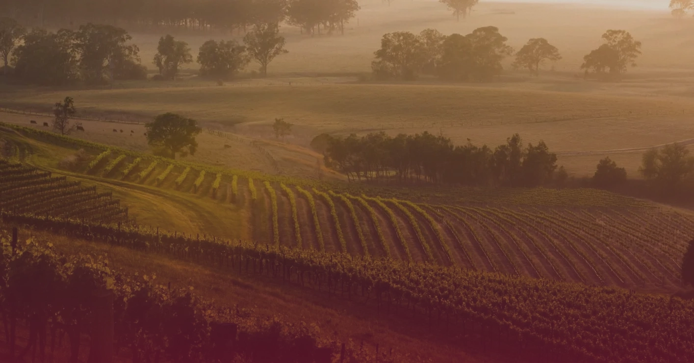 Zwicker Wein Blog – Weinwissen, Genuss & Neuigkeiten 17 Weinkühlmanschette